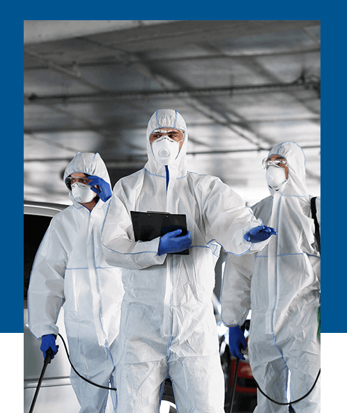 ENGEPRAG: engenharia e controle de pragas com garantia e segurança