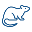 Ícone do serviço de desratização