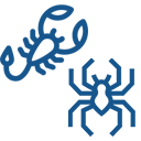 Ícone de controle de escorpiões e aranhas