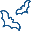 Ícone de desalojamento de pombos e morcegos