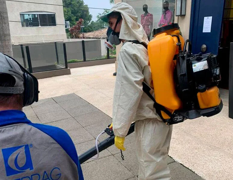 ENGEPRAG: empresa de controle de pragas urbanas