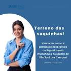 Post Engeprag — Primavera e pragas