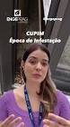 Post Engeprag — Cupins