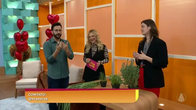 TV Aparecida — Como se livrar das pragas urbanas dentro de casa