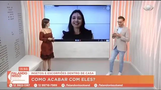 Band Vale — Insetos e escorpiões dentro de casa: como acabar com eles