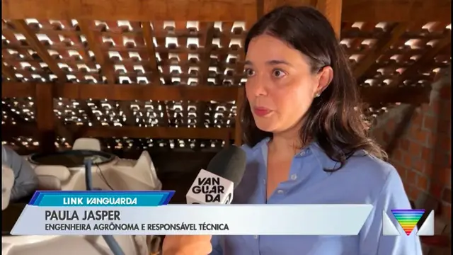 TV Globo · Link Vanguarda — Caixa d'água limpa evita o mosquito da dengue